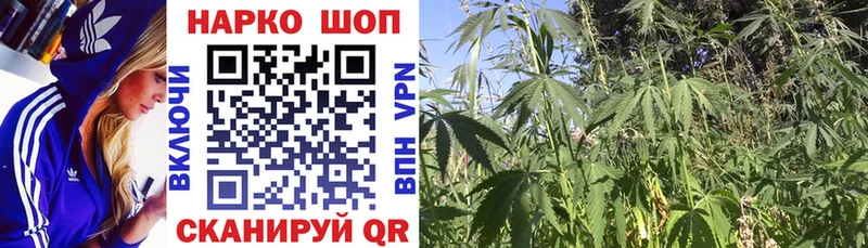 Купить закладку Гашиш  Альфа ПВП  МЕФ  Амфетамин  Конопля  Жуковка