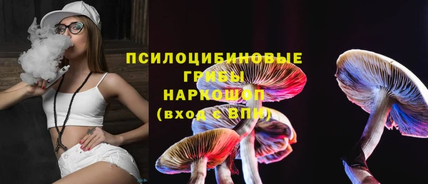 mdpv Каменск-Шахтинский
